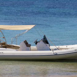 Black Fin Elegance 8 Ibiza 1