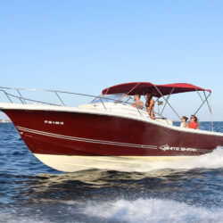 White Shark 298 Pitu Ibiza 1