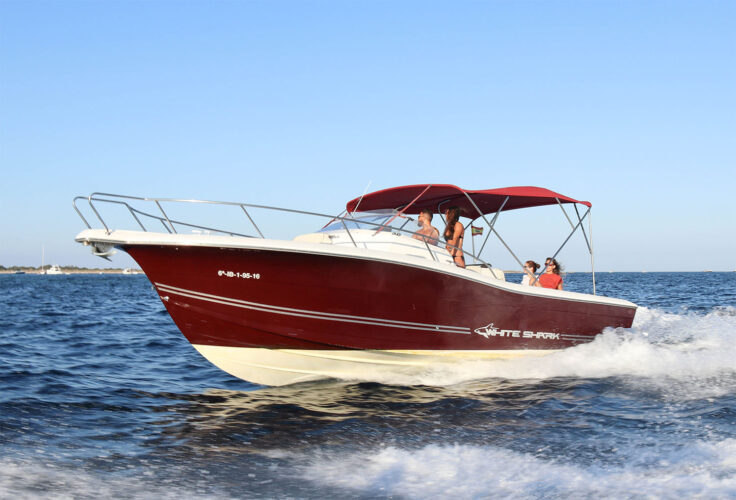 White Shark 298 Pitu Ibiza 1
